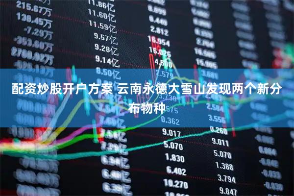 配资炒股开户方案 云南永德大雪山发现两个新分布物种